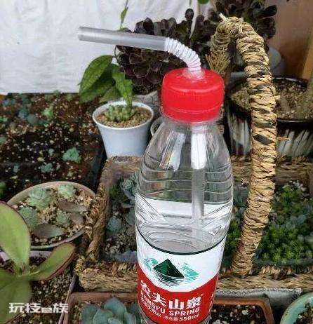 矿泉水瓶的用途都有哪些(用过的矿泉水瓶别再扔了)-图片6